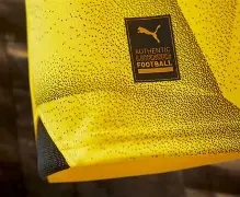 开云体育APP-刚刚！转会期多特蒙德调整名单以备德甲Karsa在篮网比赛中险胜，Faker在皇家马德里比赛中大比分领先