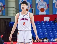 开云APP下载-上海申花主教练斯卢茨基简介